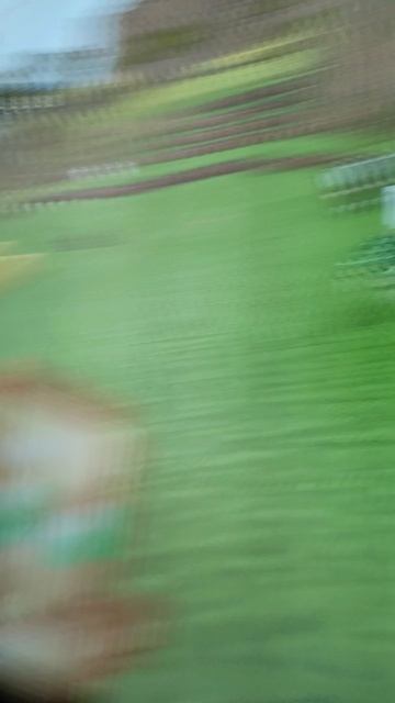 танцы шманцы