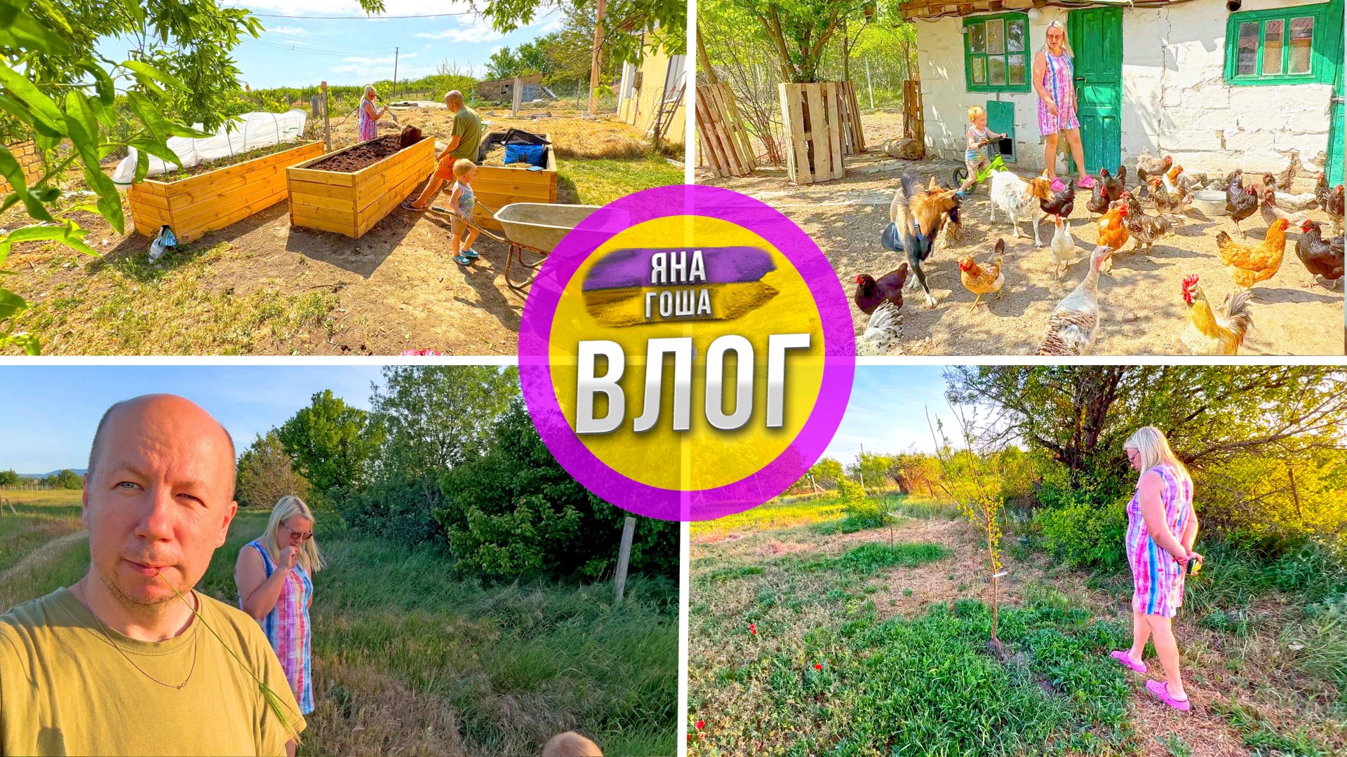 Жизнь в Крымском селе. Плодовые деревья - пустые! Этот год без урожая. Ферма. Высокие грядки. смотреть онлайн