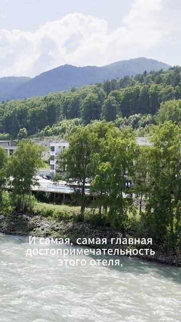 Последние апарты в отеле Кислород на Алтае! Бирюзовая Катунь — доход и отдых в одном месте!