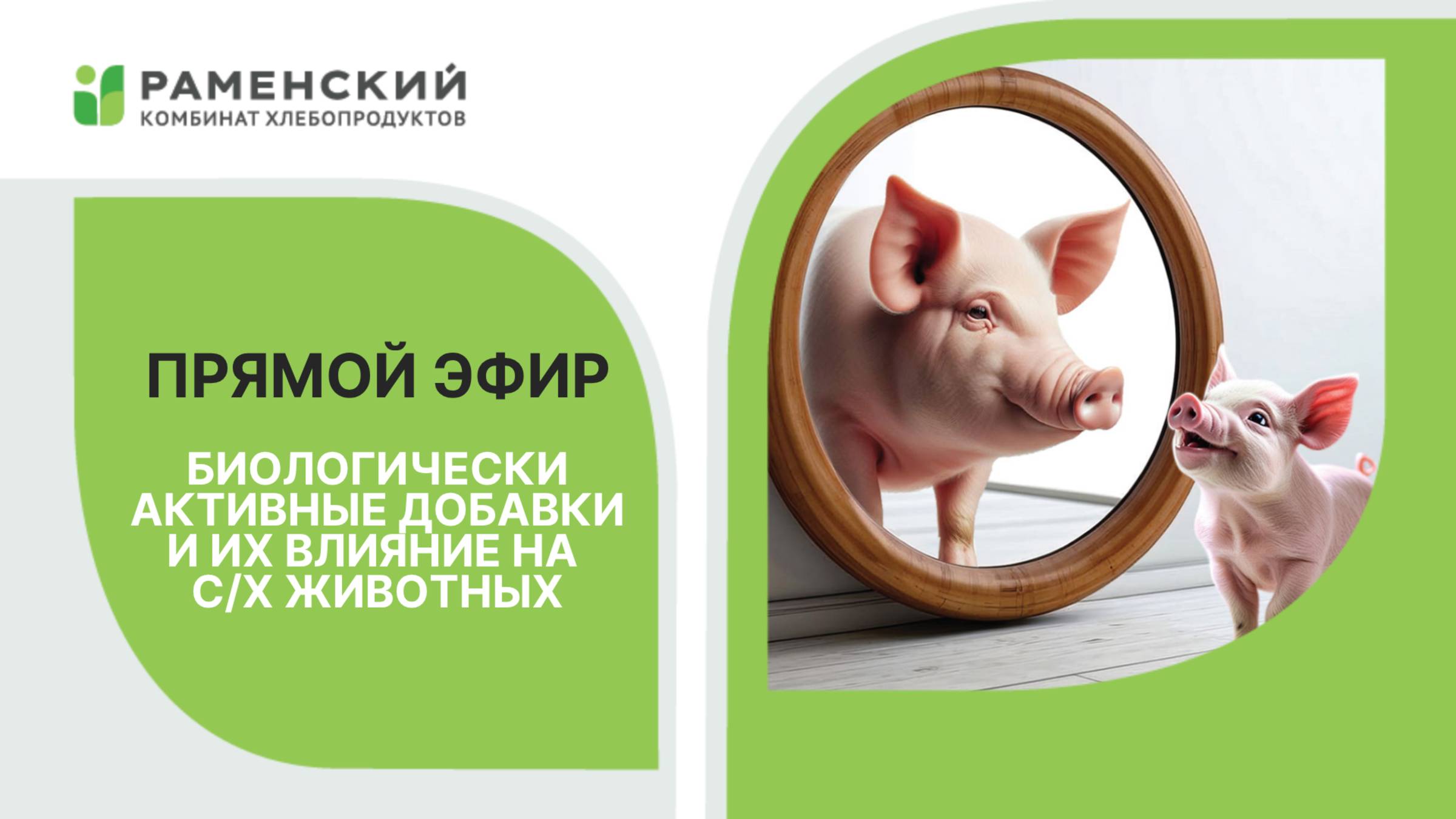 Для чего нужны биологически активные добавки в кормлении с/х животных?