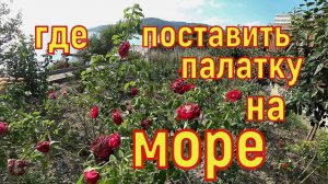 Где поставить палатку на берегу моря