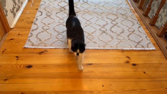 Выполняем ЗАДАНИЯ от ПОДПИСЧИКОВ и РАСКРЫВАЕМ СЕКРЕТЫ А ну-ка Давай-ка смотреть онлайн