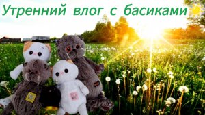 Басики и Лили утром 🩷 УТРЕННИЙ ВЛОГ С БАСИКАМИ 🩷 КотоКсю 🐱