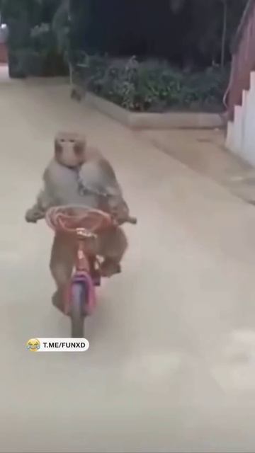 Уходим от погони