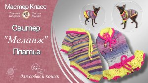 Меланж в деле: стильная одежда для питомцев, которую невозможно купить — только связать!