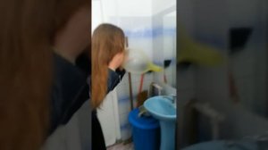 Школьницы и презерватив.