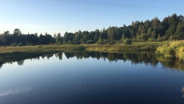 Аудиокнига Вера Панова "Серёжа" Повесть часть 3 Читает Марина Багинская смотреть онлайн