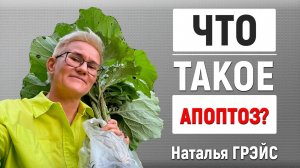 ЧТО ТАКОЕ АПОПТОЗ НЕРВНЫХ КЛЕТОК и КАК МОЗГ ТЕРЯЕТ ФУНКЦИИ, КОТОРЫЕ НЕ ИСПОЛЬЗУЮТСЯ | НАТАЛЬЯ ГРЭЙС