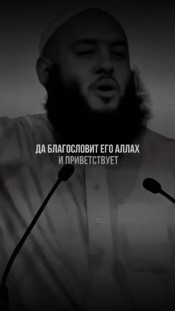 Саад ибн Муаз