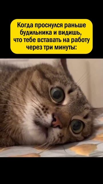 Доброе утро смотреть онлайн