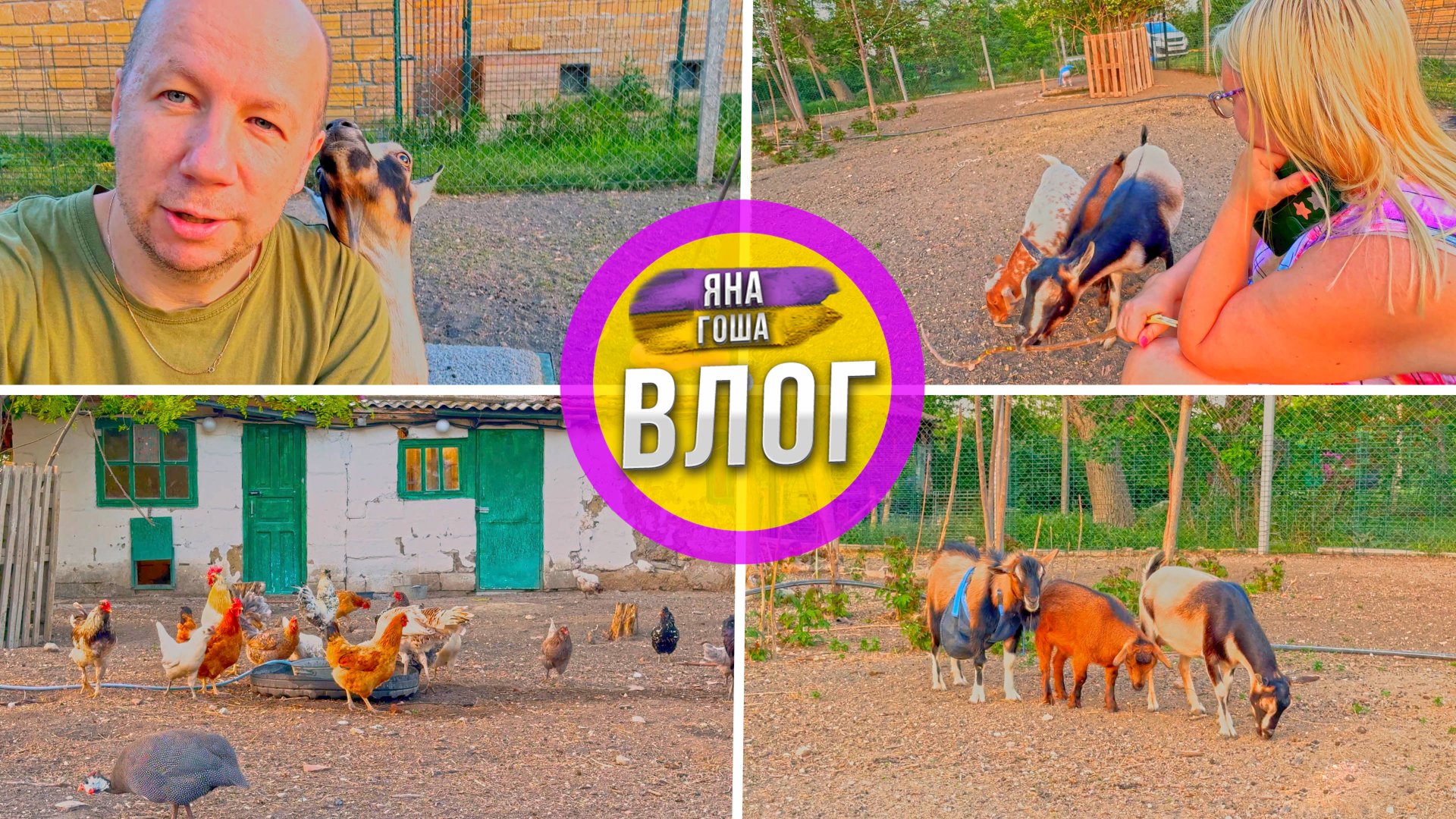 Уютные тёплые вечера в глухой Крымской деревне. Семья живет на глухом хуторе в Крыму Жизнь в деревне смотреть онлайн