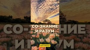 #БлагоВест ✴ СО-ЗНАНИЕ и РАЗУМ