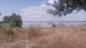 Берег речки VID_20250718_133034