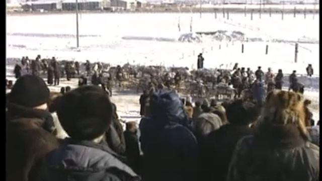 38-30-Na_prazdnike_olenevodov смотреть онлайн