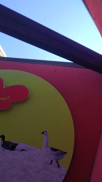 Все мамы мира поют колыбельные песни маленькому дереву. Кудыкина гора.