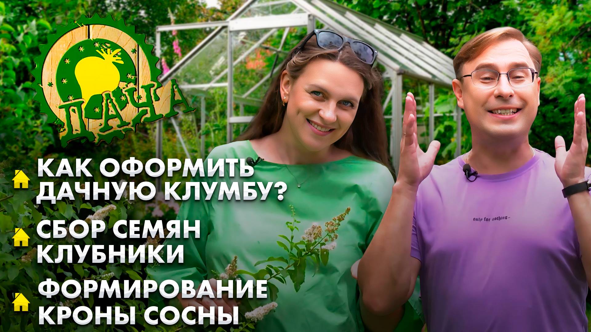 Как собрать семена клубники? | Как оформить клумбу? | Зачем обрезать сосну? Дача