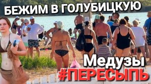 Медузная аномалия в Пересыпи. Нашли чистые пляжи в Голубицкой и Кучугурах 18.07.2025 Азовское море