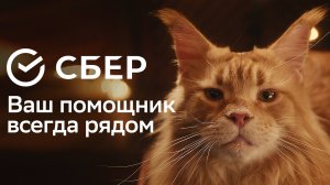 Сбер. Ваш помощник всегда рядом