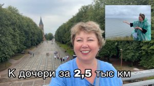 Пролетела 2,5 тыс. км, чтобы увидеться с дочерью!