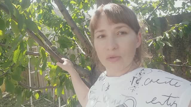 Новый влог.Покупки. Обстановка в приграничье