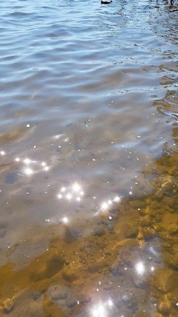 Наступило долгожданное утро !