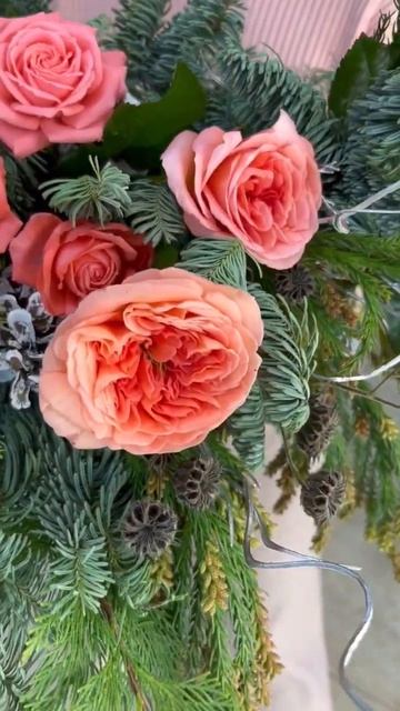 Невероятная композиция из двух видов ели, дополняется смотреть онлайн