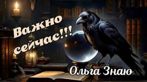 ‼️🔥🍀 Это важно сейчас для тебя! 💯💞⚖️🌳