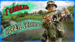 Голавль в начале сезона
