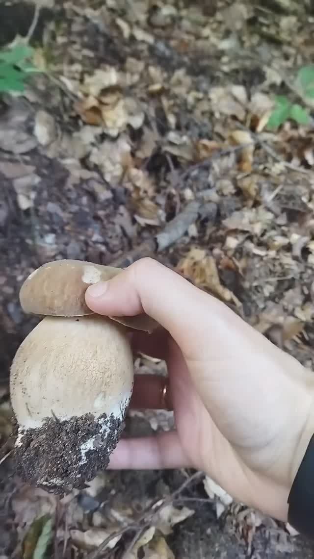 сезон можно считать открытым :)