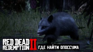 Где найти Опоссума в Red Dead Redemption 2