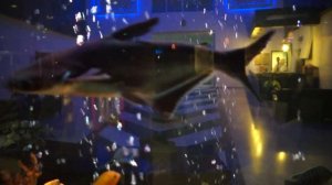 Турция. Бельдиби. Отель Катамаран.