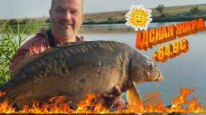 РЫБАЛКА на КАРПА и АМУРА. Особенности ловли в корягах, в АДСКУЮ ЖАРУ  +64.9С