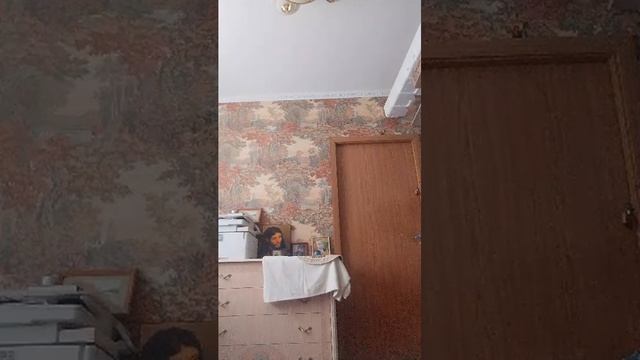 олллмср смотреть онлайн