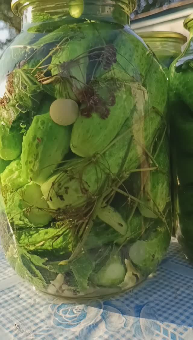 ЗАСОЛКА ОГУРЦОВ В БАНКАХ/ОГУРЦЫ НА ЗИМУ🥒🥒🥒