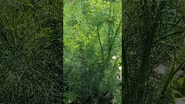Обзор нашего непосильного труда смотреть онлайн