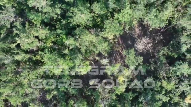 Видео не моё, тгк. Gorb SQUAD смотреть онлайн