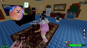 ШЛЁПА ТАНЦУЕТ ! ВЕЧЕРИНКА СО ШЛЕПОЙ В РОБЛОКС | ЭВОЛЮЦИЯ ЖИЗНИ ШЛЁПЫ | ROBLOX raise a floppa 2