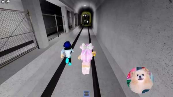 УБЕГАЮ ОТ ПОРОВОЗИКА ТОМАСА В РОБЛОКС ? ТОМАС ЧТО С ТОБОЙ СТАЛО ?! The Tunnel