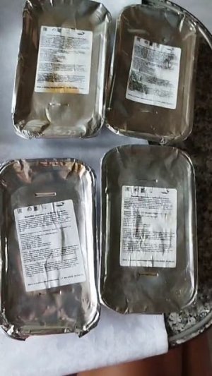 Какое питание в поезде Северная пальмира 36/35? Северная пальмира питание в купе что входит 2025