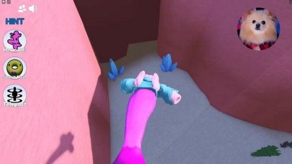 АКВАПАРК ДЛЯ РУСАЛОЧЕК В РОБЛОКС ! Roblox Mermaid Waterpark