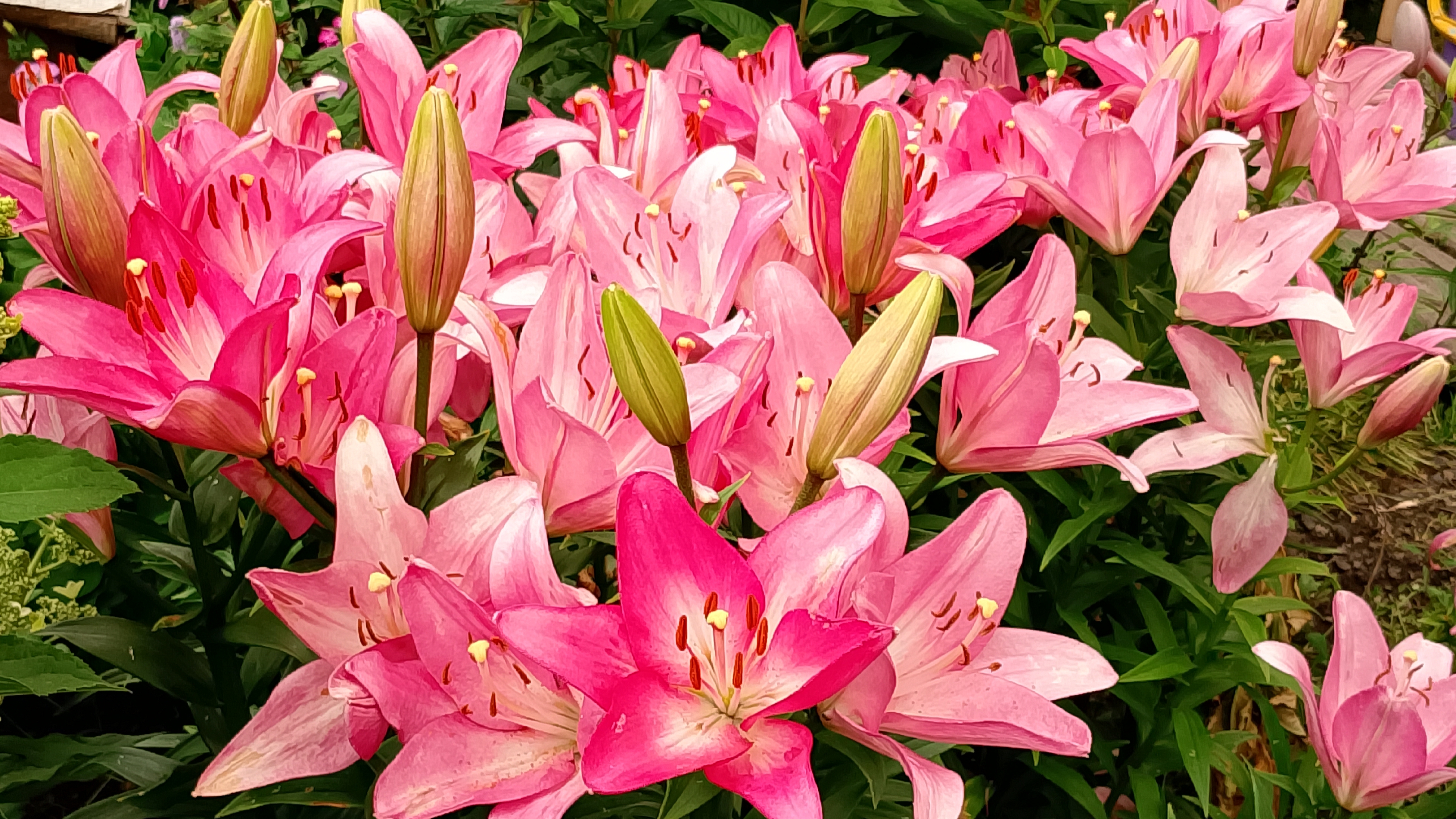 Субботний вечер. Гроза приближается. Мои цветы. С Днём Металлурга! смотреть онлайн