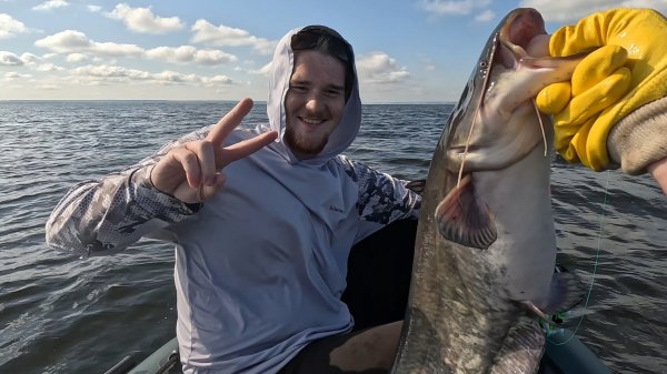 сом на квок, с тизером