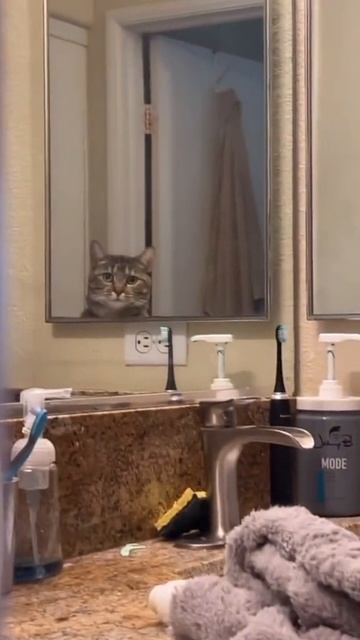 Я слежу за тобой смотреть онлайн