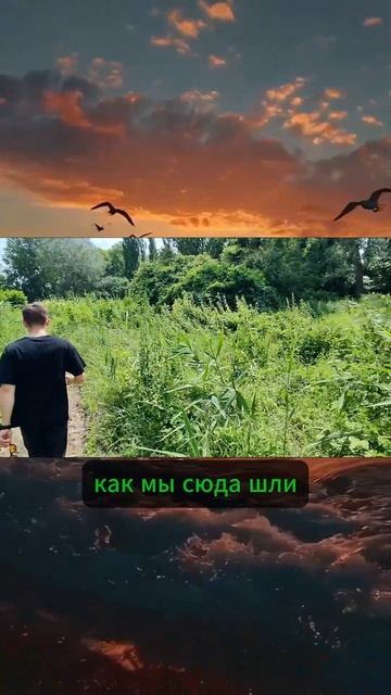 ПОДПИШИСЬ ДАЛЬШЕ БОЛЬШЕ
С ТЕБЯ ЛАЙК И КОММЕНТАРИЙ)
#ЛЕС #путешествие #подписка