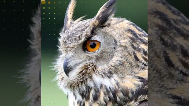 Это интересно-34