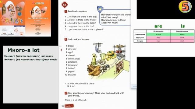 Spotlight 4. стр 44. Урок 5b (с. 44—45) Английский язык. Рабочая тетрадь (стр. 23) смотреть онлайн