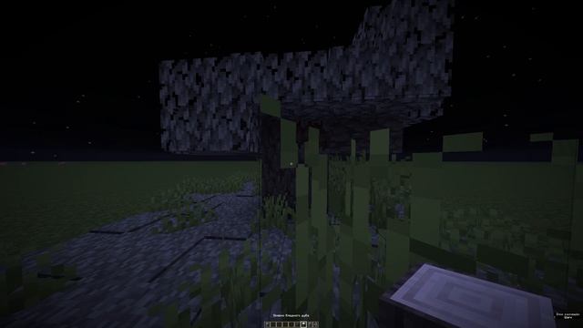 бледный сад