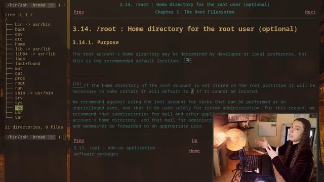 Структура файловой системы Linux — объяснение смотреть онлайн