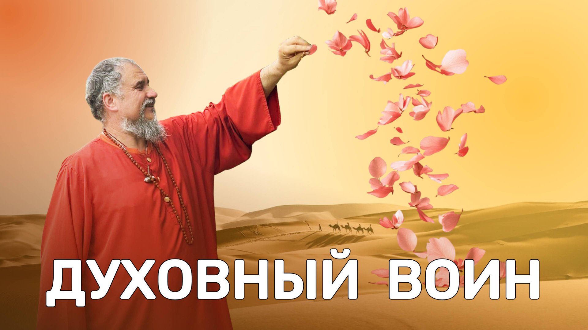 Сила Садху: как стать духовным воином и победить сансару смотреть онлайн