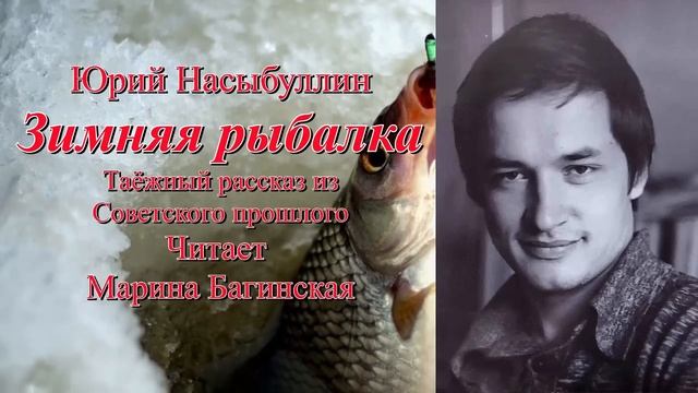 Аудиокнига Юрий Насыбуллин Рассказы "Пурга" и "Зимняя рыбалка" Читает Марина Багинская. смотреть онлайн